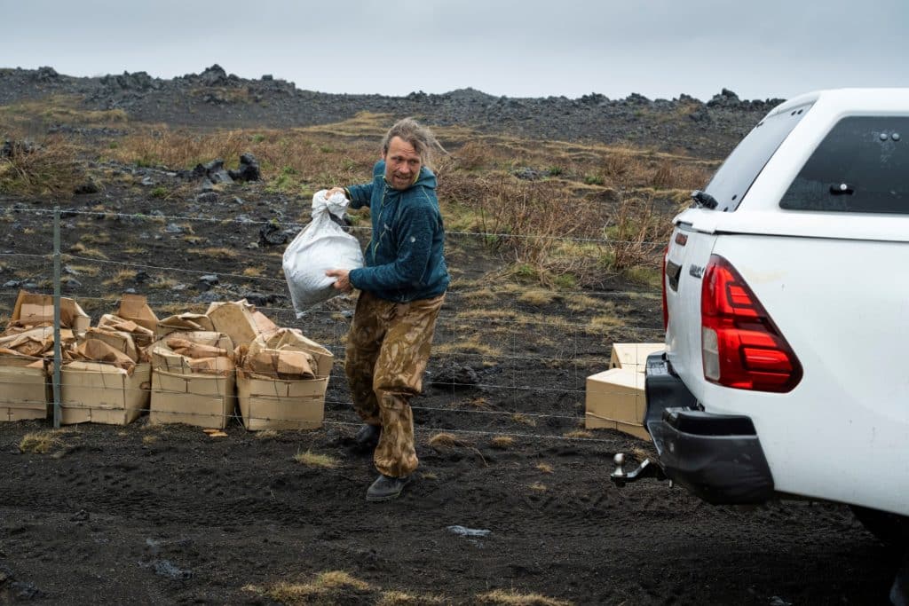 hekla forest project