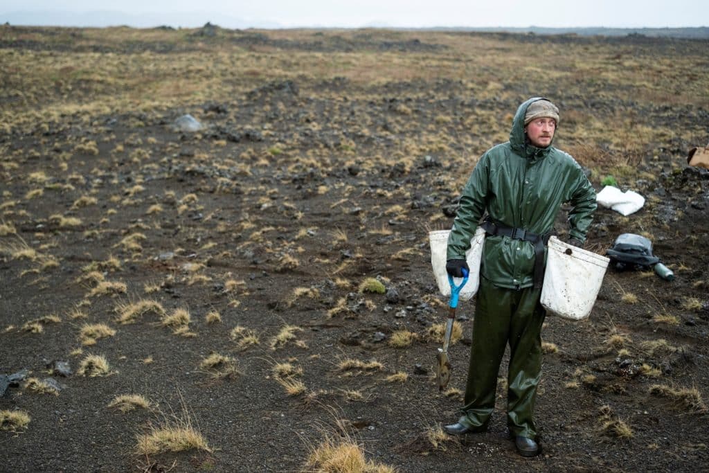 hekla forest project
