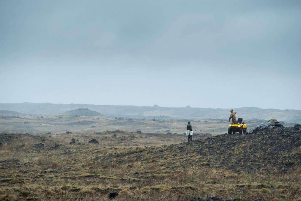 hekla forest project