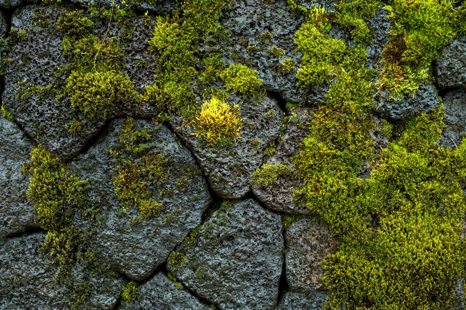 _DSF0516 (1)
