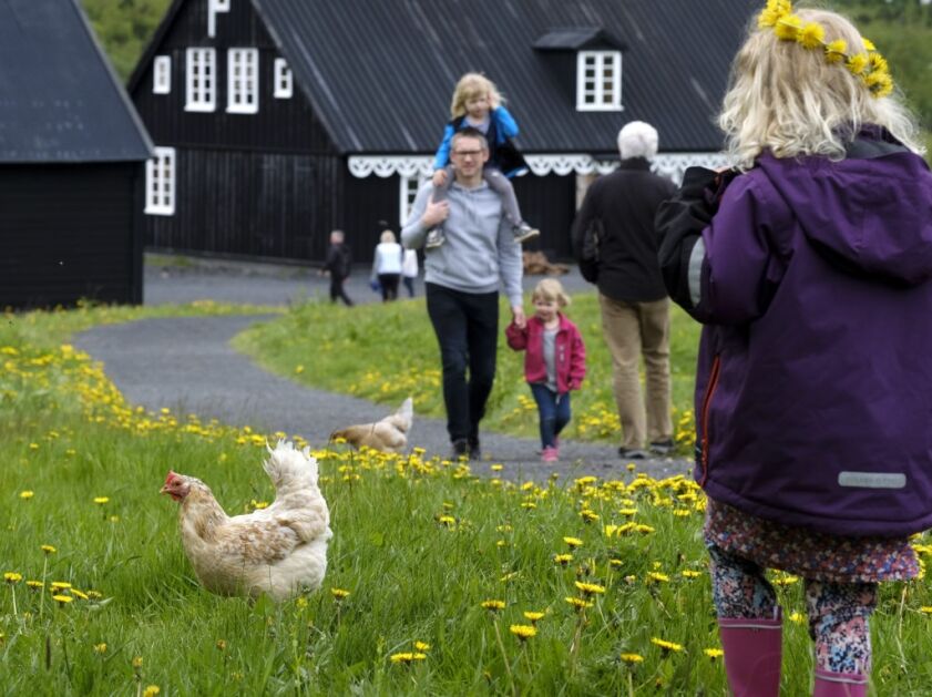 Walking through Photo: Golli. Árbær Open Air Museum