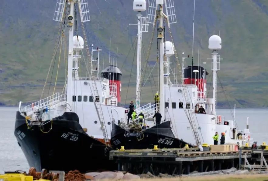 Iceland’s Major Fishery Dismisses Crews From Two Trawlers