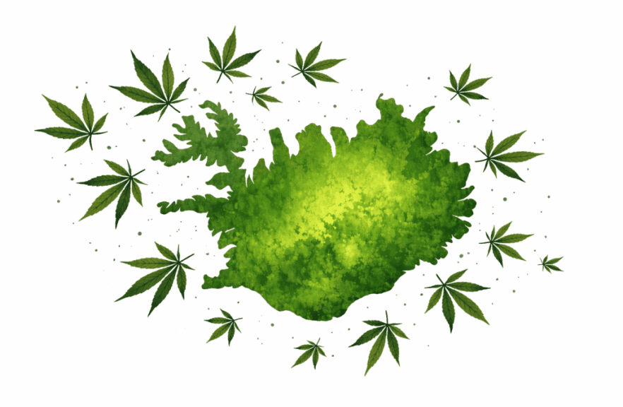 The War on Half a Gram