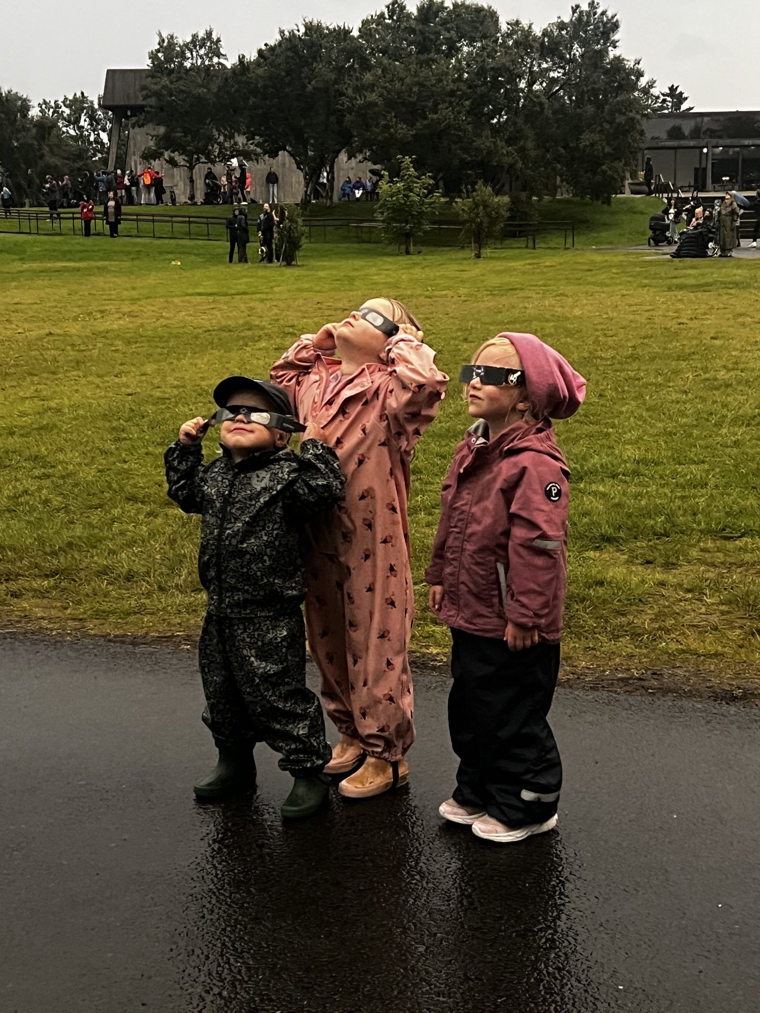 Nine in Ten Icelanders Experienced August's Eclipse