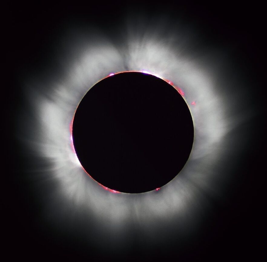 What to Do This Week | Total Eclipse, Caraway Harvesting and More